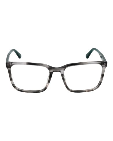 MONTATURE DA VISTA UOMO HACKETT HEK129 54503